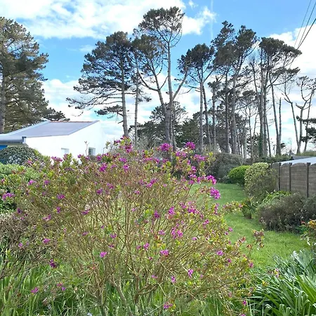 Maison A 350m Avec Jardin Sud Et Wifi A - Fr-1-368-437 別荘 *